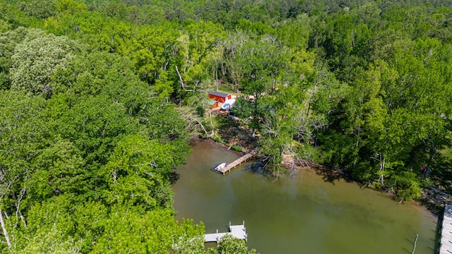 62 Denver Rd, Heathsville, VA 22473 - bird's eye view of a heavily wooded area and a nearby body of water
