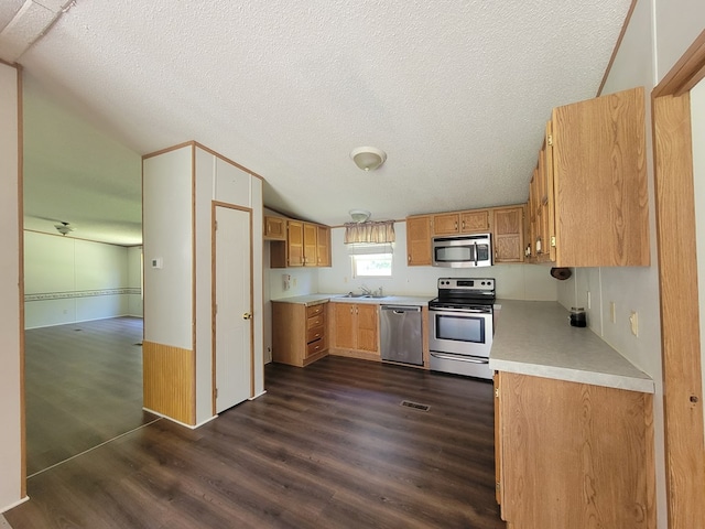 159 Dirt Bridge Rd, Topping, VA 23169 - kitchen with stainless steel appliances, dark wood-type flooring, light countertops, vaulted ceiling, and a sink