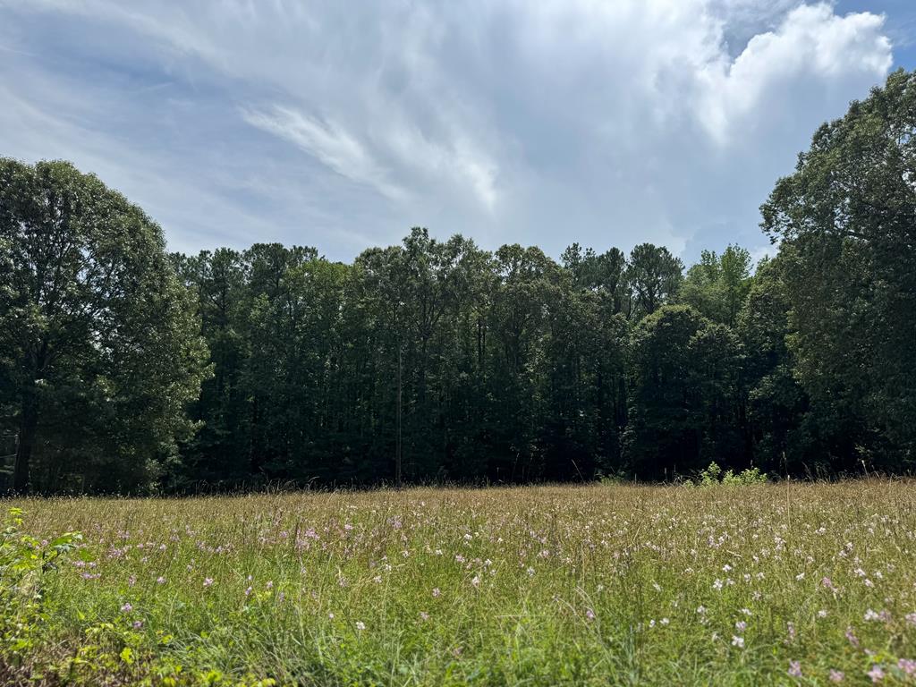 30 Hampton Pl Unit 28, 29, Heathsville, VA 22473 - photo 1
