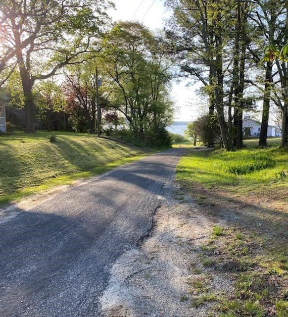 2012 Millenbeck Rd, Lancaster, VA 22503 - view of road