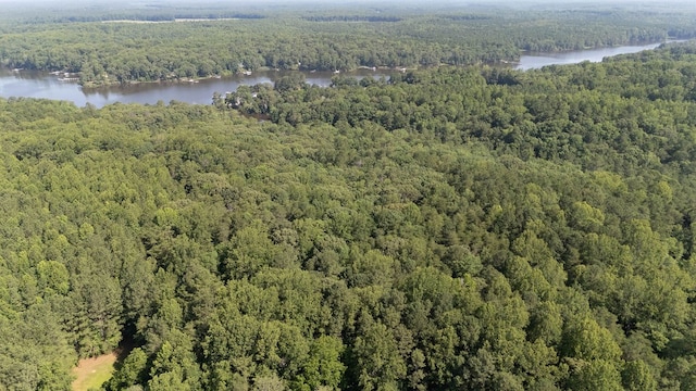 1026 Hoecake Rd, Lancaster, VA 22503 - drone / aerial view of a heavily wooded area and a nearby body of water