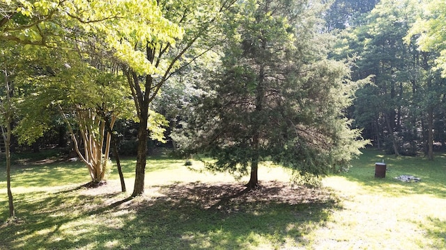 1026 Hoecake Rd, Lancaster, VA 22503 - view of grassy yard with a forest view