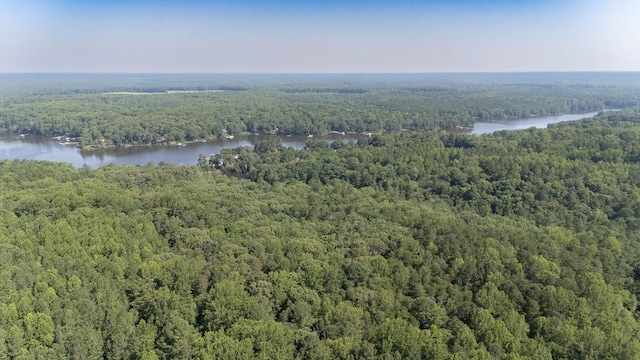 1026 Hoecake Rd, Lancaster, VA 22503 - drone / aerial view of a forest and a large body of water