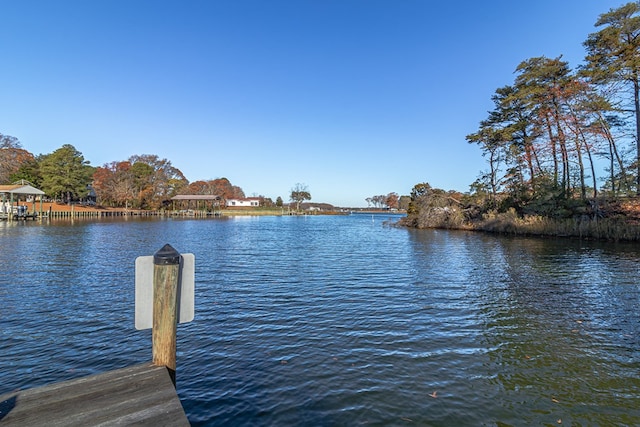 dock area with a water view