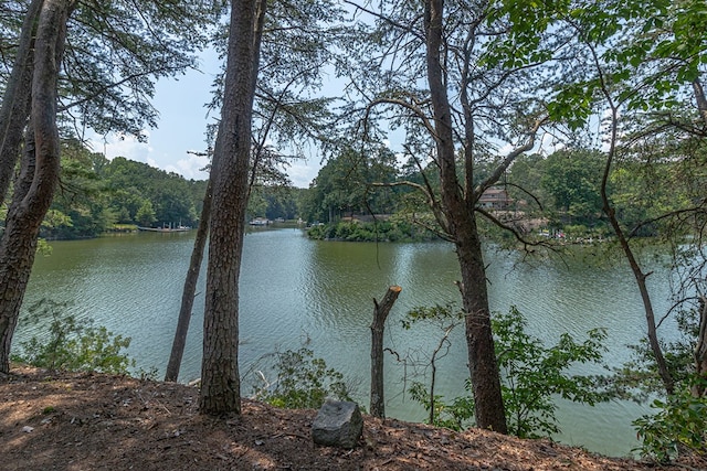 912 Levelgreen Rd, Lancaster, VA 22503 - water view with a forest