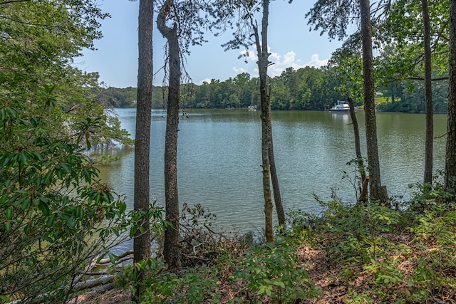 912 Levelgreen Rd, Lancaster, VA 22503 - water view featuring a forest
