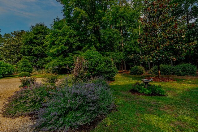 7897 Paynes Landing Rd, Gloucester, VA 23061 - photo 64