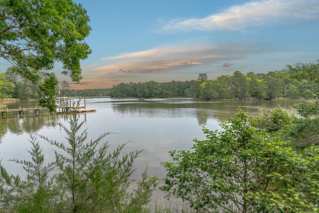 7897 Paynes Landing Rd, Gloucester, VA 23061 - photo 8