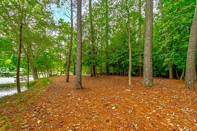 7897 Paynes Landing Rd, Gloucester, VA 23061 - photo 68