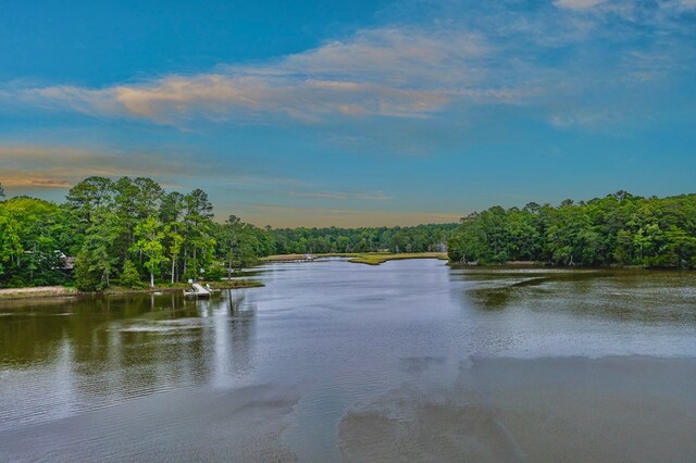 7897 Paynes Landing Rd, Gloucester, VA 23061 - photo 6