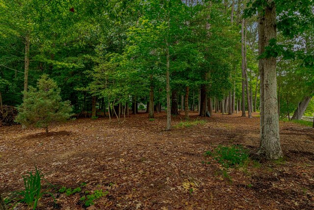 7897 Paynes Landing Rd, Gloucester, VA 23061 - photo 69