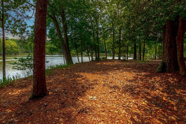 7897 Paynes Landing Rd, Gloucester, VA 23061 - photo 70