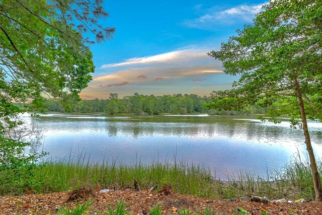7897 Paynes Landing Rd, Gloucester, VA 23061 - photo 52