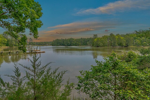 7897 Paynes Landing Rd, Gloucester, VA 23061 - photo 71