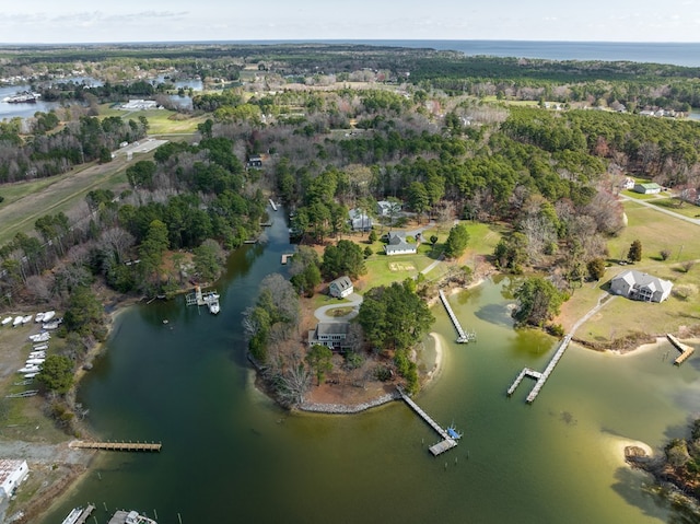 bird's eye view featuring a water view and a view of trees