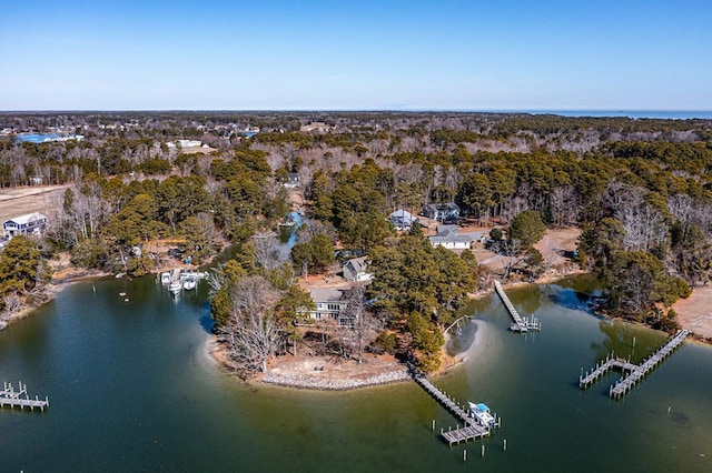 birds eye view of property featuring a water view and a view of trees