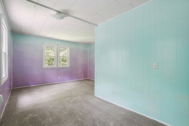 63 Pioneer Trl, Hague, VA 22469 - carpeted empty room with wooden walls