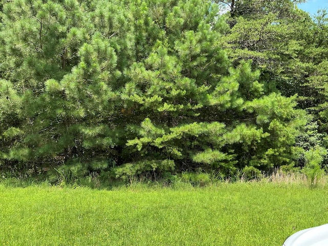 LOT7 Walker Candie Ln, Callao, VA 22435 - photo 3