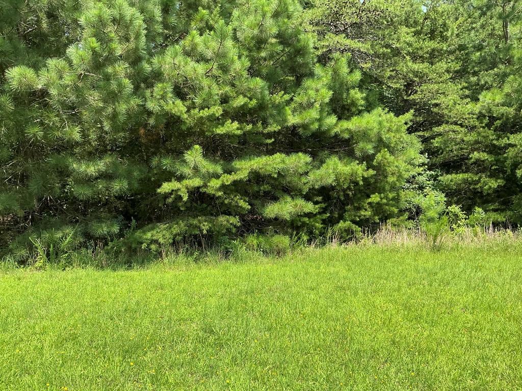 LOT7 Walker Candie Ln, Callao, VA 22435 - photo 2