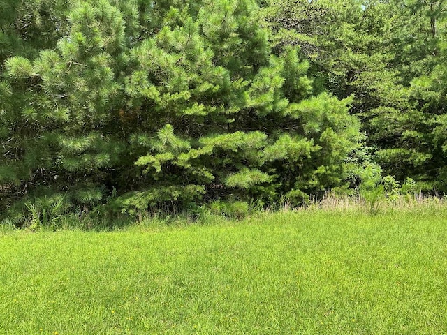 LOT7 Walker Candie Ln, Callao, VA 22435 - photo 1