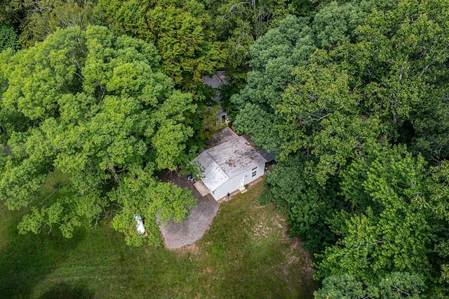 3503 Canal Rd, Farnham, VA 22460 - view of subject property featuring a forest