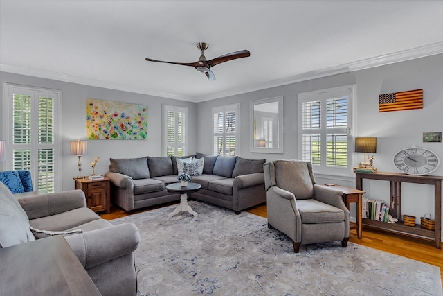 3503 Canal Rd, Farnham, VA 22460 - living room featuring ornamental molding, healthy amount of natural light, a ceiling fan, and light wood-style flooring