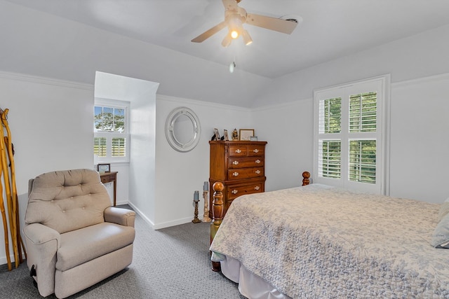 3503 Canal Rd, Farnham, VA 22460 - bedroom with carpet floors, multiple windows, ceiling fan, and vaulted ceiling