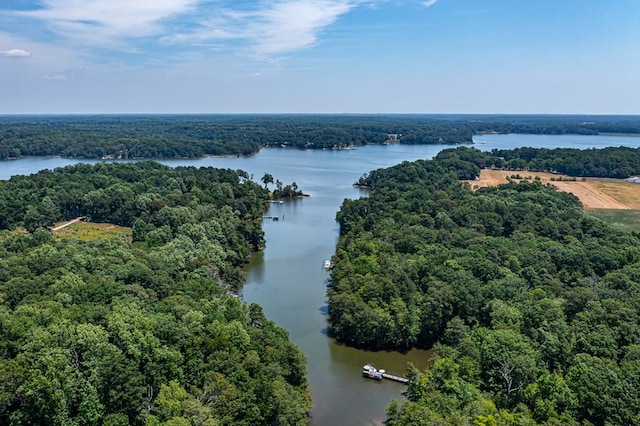 1083 Ottoman Ferry Rd, Lancaster, VA 22503 - bird's eye view of a nearby body of water and a forest
