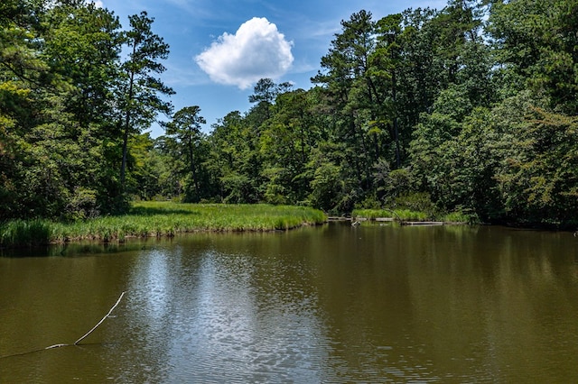 1083 Ottoman Ferry Rd, Lancaster, VA 22503 - water view with a heavily wooded area