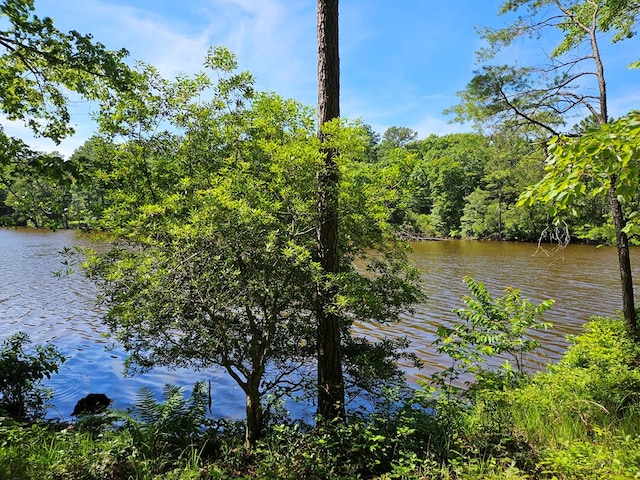 LOT12 Greenwood Beach Rd, Heathsville VA, 22473 land for sale