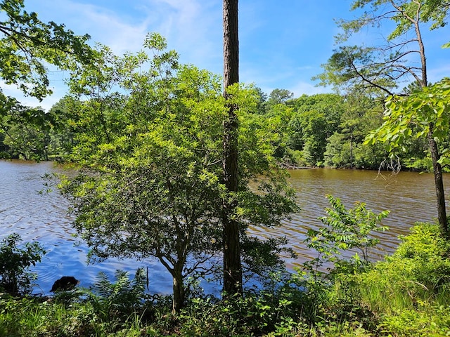 LOT12 Greenwood Beach Rd, Heathsville, VA 22473 - photo 1