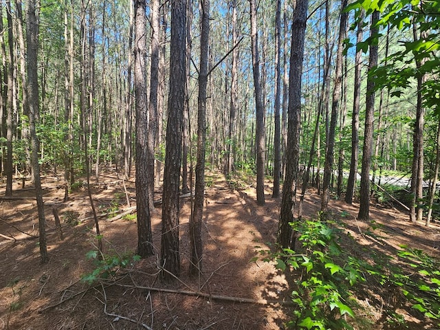 LOT12 Greenwood Beach Rd, Heathsville, VA 22473 - photo 4
