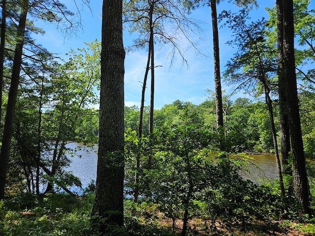 Listing photo 2 for LOT12 Greenwood Beach Rd, Heathsville VA 22473