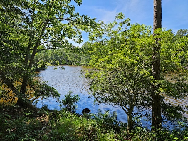 Listing photo 3 for LOT12 Greenwood Beach Rd, Heathsville VA 22473