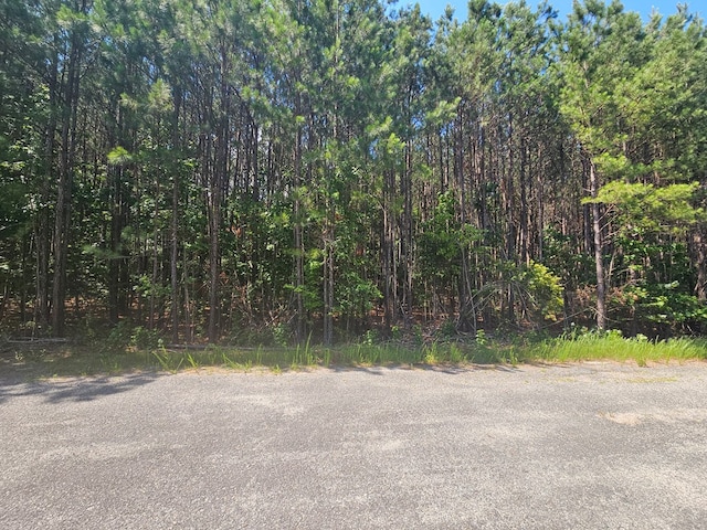 LOT12 Greenwood Beach Rd, Heathsville, VA 22473 - photo 5