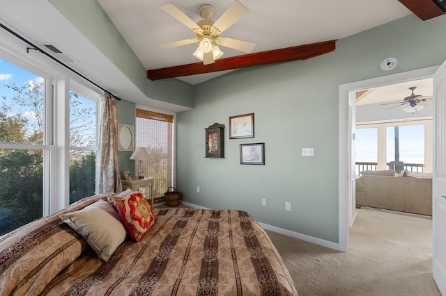 24 River Rd, Lottsburg, VA 22511 - photo 16