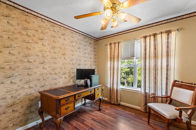 135 Hobbs Hole Ln, Tappahannock, VA 22560 - office space featuring wood finished floors, ceiling fan, a textured ceiling, and ornamental molding