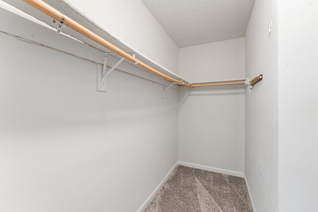 135 Hobbs Hole Ln, Tappahannock, VA 22560 - spacious closet with carpet