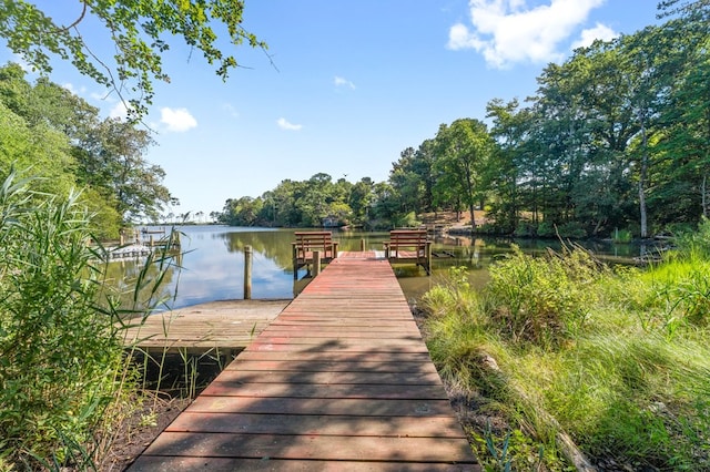 dock area with a water view