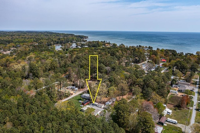 bird's eye view with a view of trees and a water view