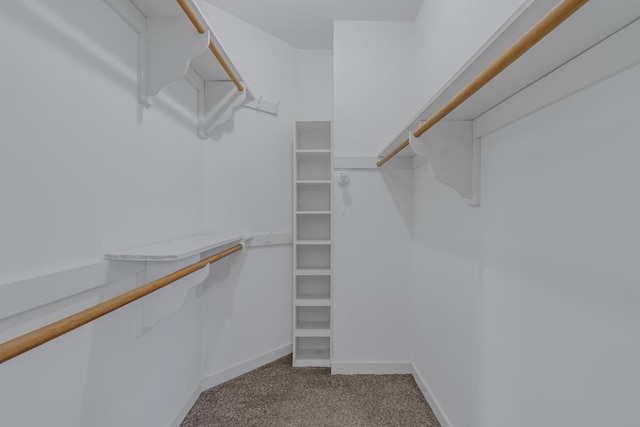 spacious closet featuring light colored carpet