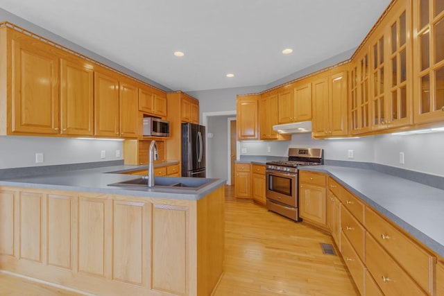 kitchen featuring sink, light hardwood / wood-style floors, kitchen peninsula, and appliances with stainless steel finishes