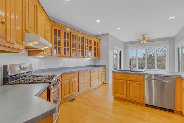 kitchen with stainless steel appliances, sink, ceiling fan, and light hardwood / wood-style flooring