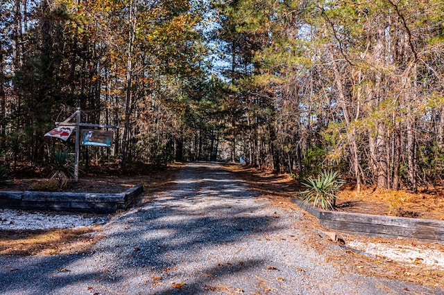 view of road