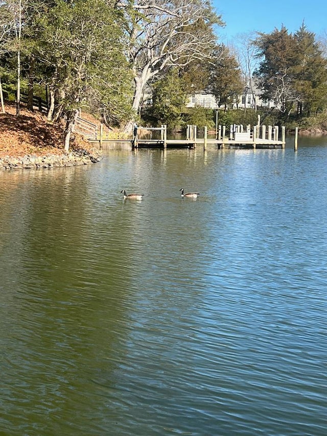 3.63AC Long Lane Ct, White Stone, VA 22578 - photo 7