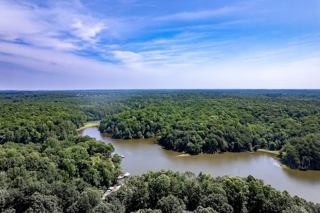 8 Tidewater Ct, Heathsville, VA 22473 - photo 8