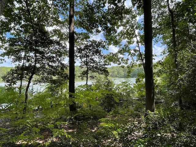 8 Tidewater Ct, Heathsville, VA 22473 - photo 13