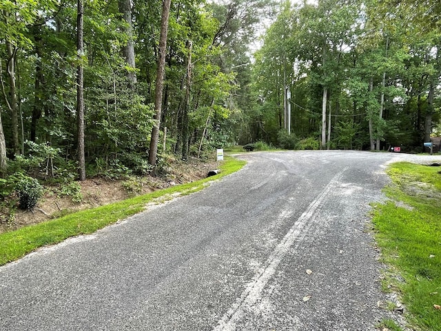 8 Tidewater Ct, Heathsville, VA 22473 - photo 16