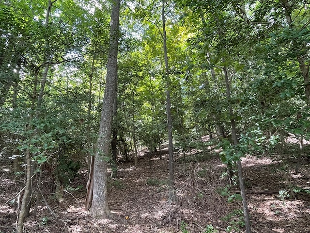 8 Tidewater Ct, Heathsville, VA 22473 - photo 12
