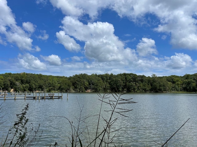 8 Tidewater Ct, Heathsville, VA 22473 - photo 11